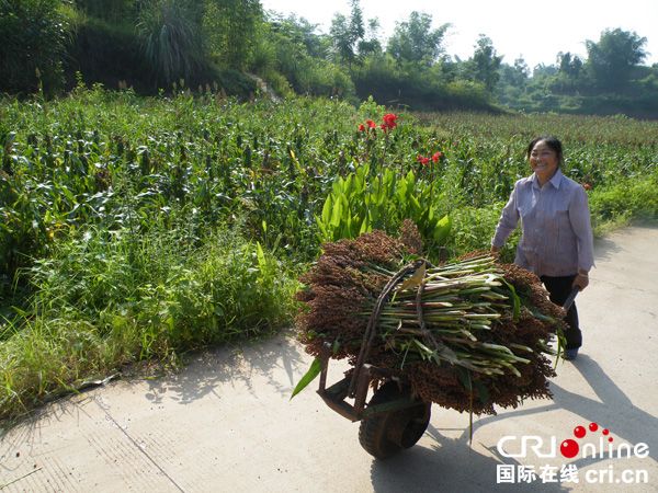 图片默认标题_fororder_丰收的喜悦