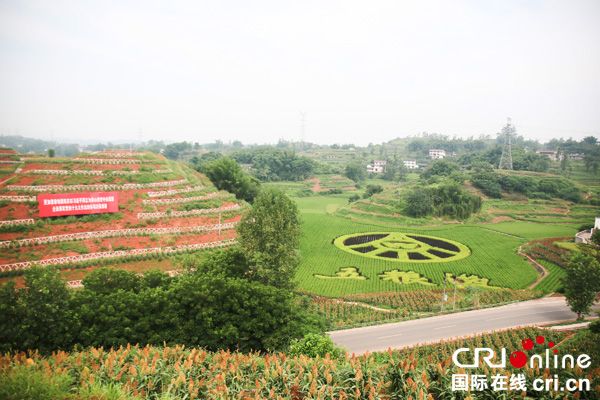 图片默认标题_fororder_左湾高标准农田建设项目