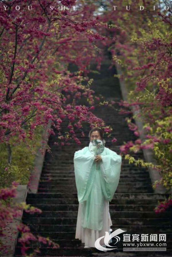 樱花和汉服很配。（受访者供图）