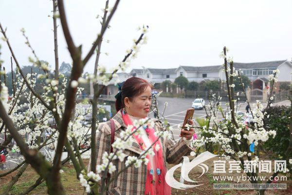 穿红色衣服很配李花哦。