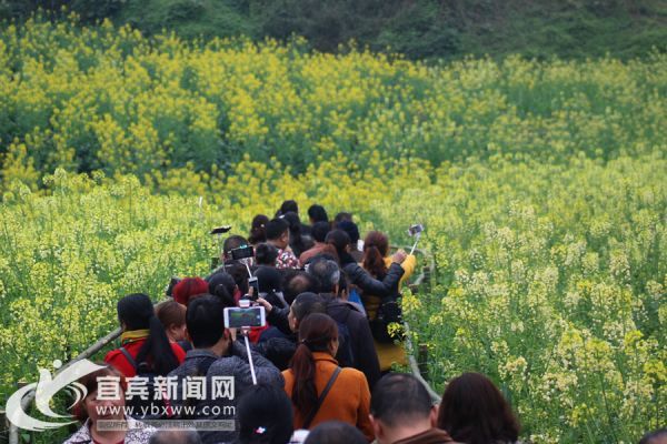 活动持续近1月。（资料图）